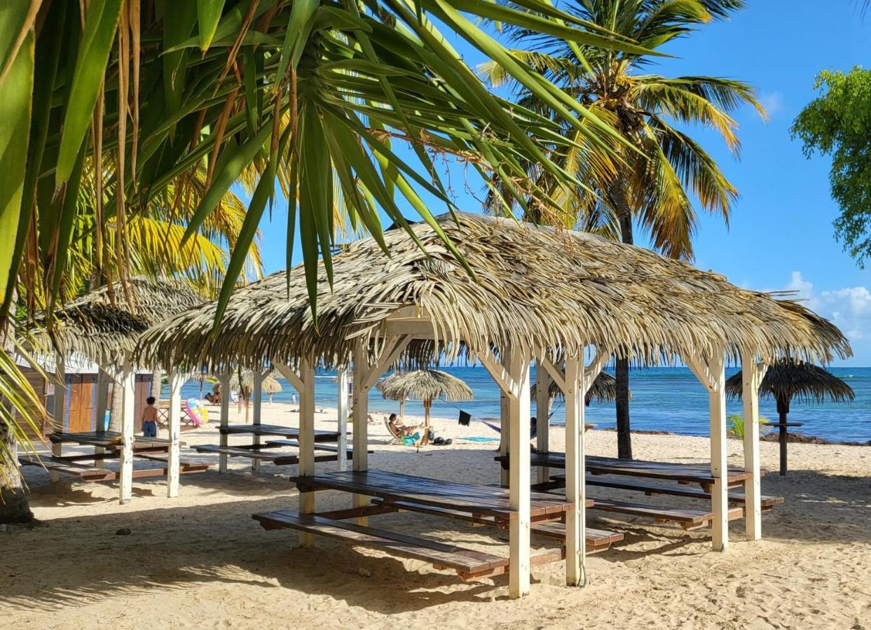 Kaz Lorike - Vue Mer & Piscine Exceptionnelle - Anse Des Rochers Сен-Франсуа Екстер'єр фото