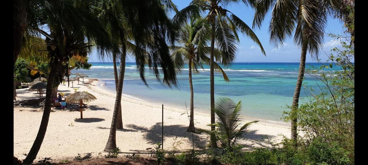 Kaz Lorike - Vue Mer & Piscine Exceptionnelle - Anse Des Rochers Сен-Франсуа Екстер'єр фото